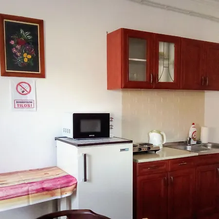 Gabriella Vendeghaz Apartment *