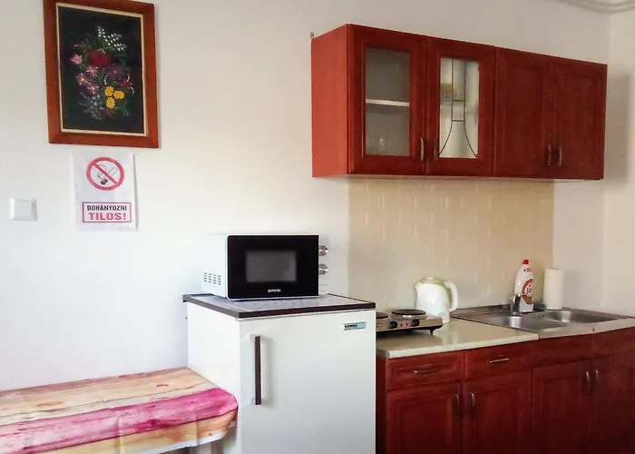 Gabriella Vendeghaz Apartment *